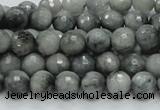 CEE20 15.5 inches 8mm faceted round eagle eye jasper beads wholesale