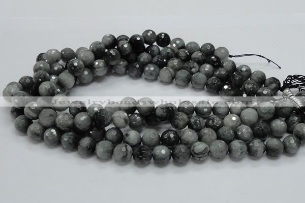 CEE22 15.5 inches 12mm faceted round eagle eye jasper beads wholesale