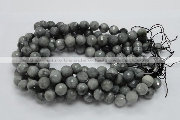 CEE23 15.5 inches 14mm faceted round eagle eye jasper beads wholesale