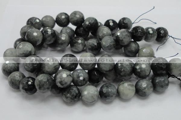 CEE25 15.5 inches 20mm faceted round eagle eye jasper beads wholesale