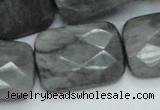 CEE36 15.5 inches 22*30mm faceted rectangle eagle eye jasper beads