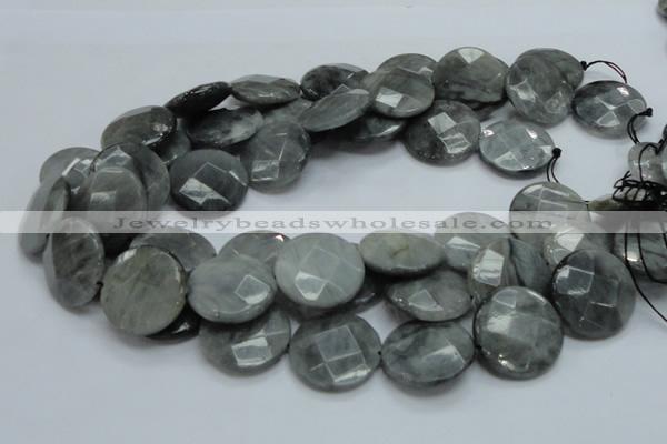 CEE39 15.5 inches 25mm faceted coin eagle eye jasper beads wholesale