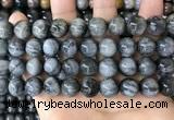 CEE544 15.5 inches 12mm round eagle eye jasper gemstone beads