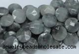 CEE56 15.5 inches 8mm faceted coin eagle eye jasper beads