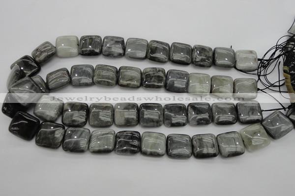 CEE78 15.5 inches 18*18mm square eagle eye jasper beads