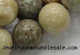 CFA05 15.5 inches 20mm round chrysanthemum agate gemstone beads