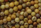 CFA31 15.5 inches 6mm round yellow chrysanthemum agate beads