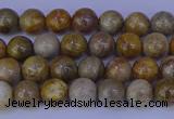 CFC200 15.5 inches 4mm round fossil coral beads wholesale