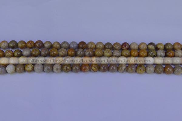 CFC201 15.5 inches 6mm round fossil coral beads wholesale