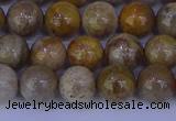 CFC202 15.5 inches 8mm round fossil coral beads wholesale