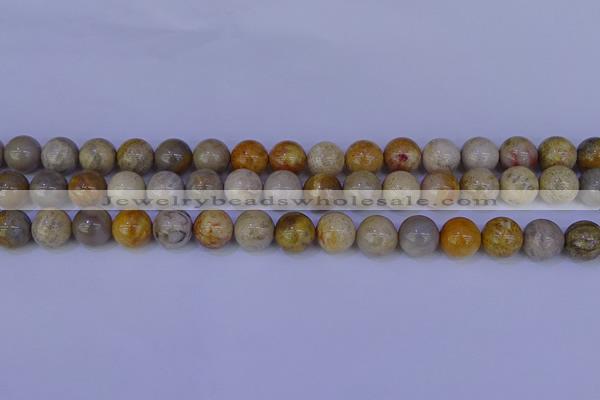 CFC203 15.5 inches 10mm round fossil coral beads wholesale