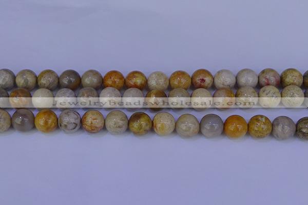 CFC204 15.5 inches 12mm round fossil coral beads wholesale