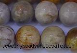 CFC205 15.5 inches 14mm round fossil coral beads wholesale