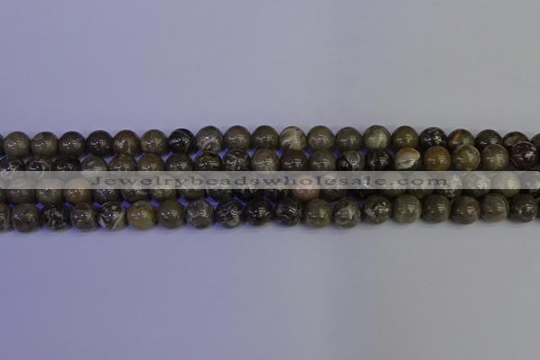 CFC212 15.5 inches 8mm round grey fossil coral beads wholesale