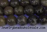 CFC213 15.5 inches 10mm round grey fossil coral beads wholesale