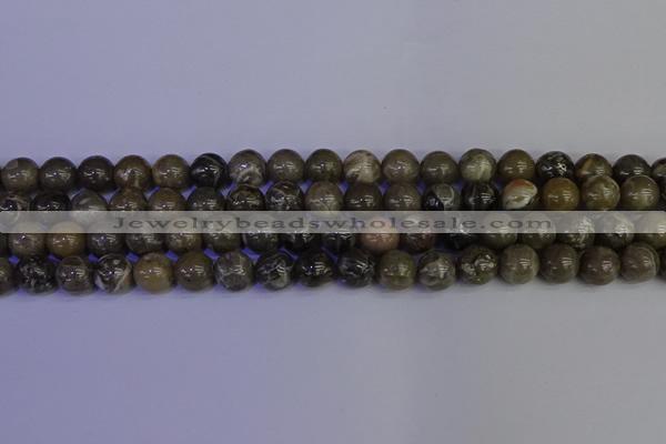 CFC213 15.5 inches 10mm round grey fossil coral beads wholesale