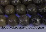 CFC214 15.5 inches 12mm round grey fossil coral beads wholesale