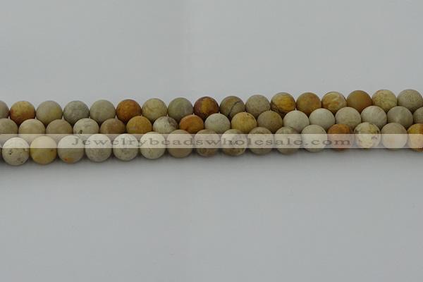 CFC222 15.5 inches 8mm round matte fossil coral beads wholesale