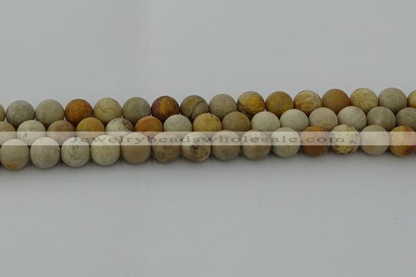 CFC223 15.5 inches 10mm round matte fossil coral beads wholesale