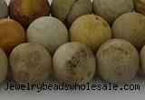 CFC224 15.5 inches 12mm round matte fossil coral beads wholesale