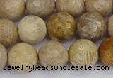 CFC231 15.5 inches 10mm faceted round fossil coral beads