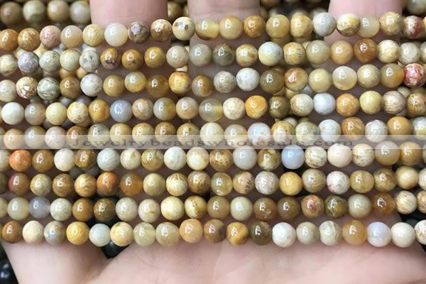 CFC320 15.5 inches 4mm round fossil coral beads wholesale