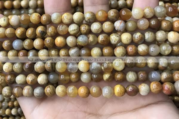 CFC321 15.5 inches 6mm round fossil coral beads wholesale