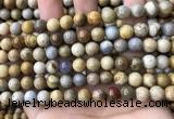 CFC322 15.5 inches 8mm round fossil coral beads wholesale