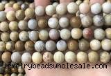 CFC323 15.5 inches 10mm round fossil coral beads wholesale