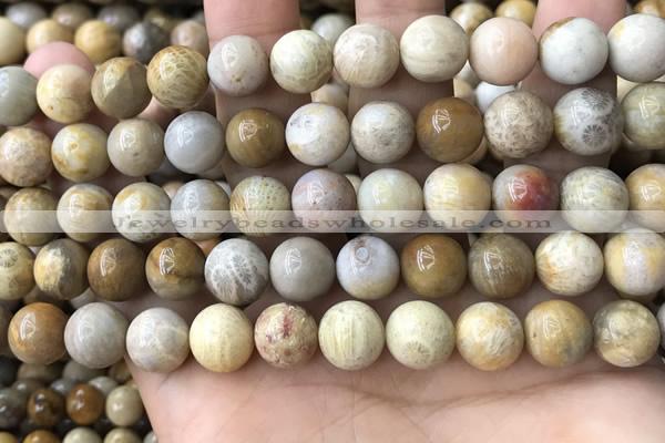 CFC323 15.5 inches 10mm round fossil coral beads wholesale