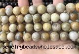 CFC324 15.5 inches 12mm round fossil coral beads wholesale