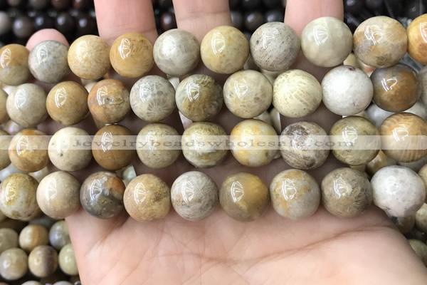 CFC324 15.5 inches 12mm round fossil coral beads wholesale