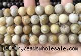 CFC325 15.5 inches 14mm round fossil coral beads wholesale