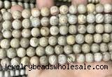 CFC333 15.5 inches 8mm round fossil coral beads wholesale