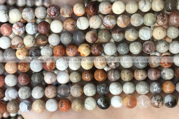 CFC341 15.5 inches 6mm round red fossil coral beads wholesale