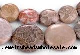 CFC53 15.5 inches flat round coral fossil jasper beads wholesale