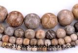 CFC55 15.5 inches round coral fossil jasper beads wholesale