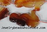 CFG519 15.5 inches 22*35mm carved animal red agate beads