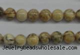 CFS02 15.5 inches 10mm round natural feldspar gemstone beads