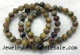 CGB2600 7.5 inches 9mm round natural pietersit beaded bracelets