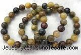 CGB2601 7.5 inches 10mm round natural pietersit beaded bracelets