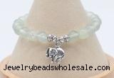 CGB7902 8mm prehnite bead with luckly charm bracelets wholesale