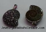 CGP1560 30*36mm - 35*45mm ammonite pendants wholesale