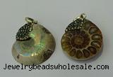 CGP271 25*30mm - 30*35mm ammonite pendants wholesale