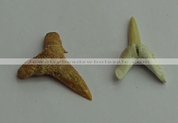 CGP541 15*25mm - 22*30mm shark teeth pendants wholesale