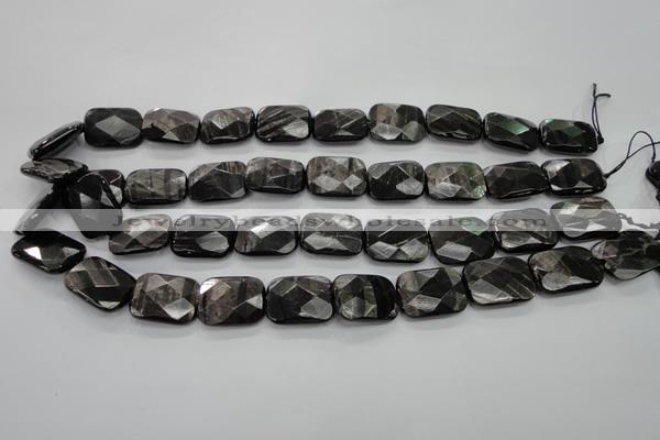 CHS38 15.5 inches 15*20mm faceted rectangle natural hypersthene beads