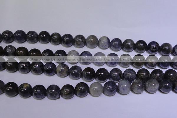 CIL05 15.5 inches 10mm round natural iolite gemstone beads