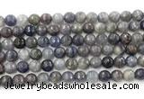 CIL119 15.5 inches 8mm faceted round iolite gemstone beads