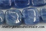 CKC526 15.5 inches 18mm square natural Brazilian kyanite beads