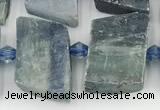 CKC785 15.5 inches 11*15mm - 12*18mm freeform blue kyanite beads